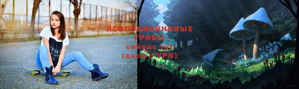 apvp Аркадак