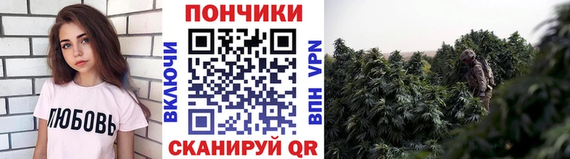 Купить где  Кирс  МАРИХУАНА ГИДРОПОН 
